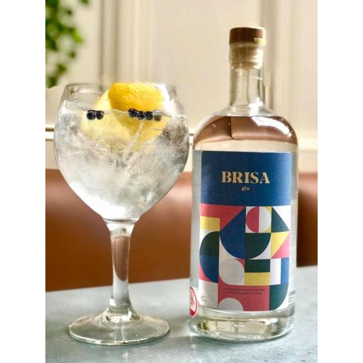 Gin - Brisa Gin - Med inspired flavours with hints of olive leaf, oregano, lemon, grapefruit & juniper